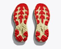 HOKA CHALLENGER ATR  8 TIDAL WAVE ET PAMPAS GRASS  Chaussures de Trail pas cher