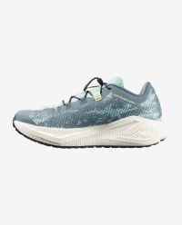 SALOMON AERO GLIDE 4 GRVL STORMY WEATHER , LICHEN ET VANILLA ICE Chaussures de gravel pas cher
