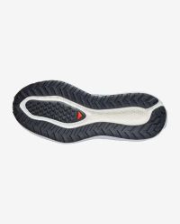 SALOMON AERO GLIDE 4 GRVL STORMY WEATHER , LICHEN ET VANILLA ICE Chaussures de gravel pas cher