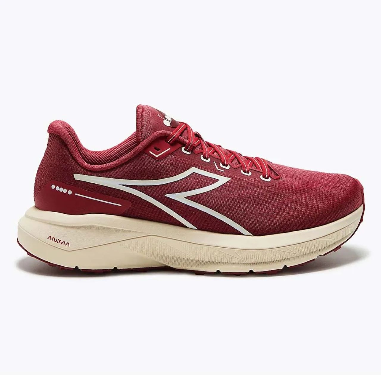 DIADORA NUCLEO 2 GR VIOLA TERRA ET BIANCO SOSPIRO   Chaussure gravel