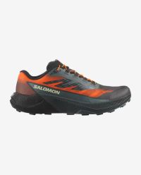 SALOMON PULSAR QUIVER Chaussures de trail