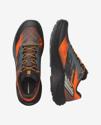 SALOMON PULSAR QUIVER Chaussures de trail pas cher