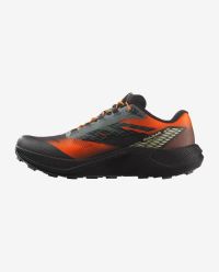 SALOMON PULSAR QUIVER Chaussures de trail pas cher
