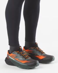 SALOMON PULSAR QUIVER Chaussures de trail pas cher