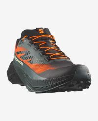 SALOMON PULSAR QUIVER Chaussures de trail pas cher