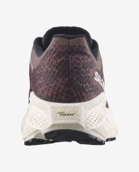 SALOMON AERO GLIDE 4 GRVL HUCKLEBERRY, BLACK ET VANILLA ICE Chaussures de gravel pas cher