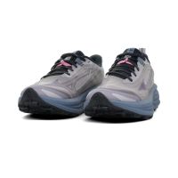 MIZUNO NEO DAICHI 10 DAPPLE GRAY  ET WILD WIND Chaussures de trail pas cher