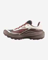 SALOMON GENESIS 2  VANILLA ICE, IRON ET LAVA FALLS Chaussures de trail pas cher
