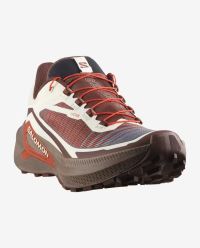 SALOMON GENESIS 2  VANILLA ICE, IRON ET LAVA FALLS Chaussures de trail pas cher