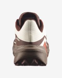 SALOMON GENESIS 2  VANILLA ICE, IRON ET LAVA FALLS Chaussures de trail pas cher