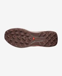 SALOMON GENESIS 2  VANILLA ICE, IRON ET LAVA FALLS Chaussures de trail pas cher