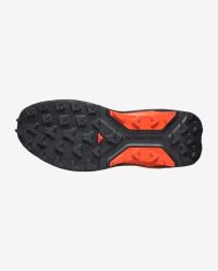 SALOMON S/LAB GENESIS 2 BLACK ET FIERY RED  Chaussures de trail pas cher