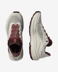 SALOMON GENESIS 2 VANILLA ICE, HUCKLEBERRY ET LAVA FALLS  Chaussures de trail pas cher