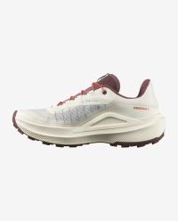 SALOMON GENESIS 2 VANILLA ICE, HUCKLEBERRY ET LAVA FALLS  Chaussures de trail pas cher