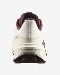 SALOMON GENESIS 2 VANILLA ICE, HUCKLEBERRY ET LAVA FALLS  Chaussures de trail pas cher