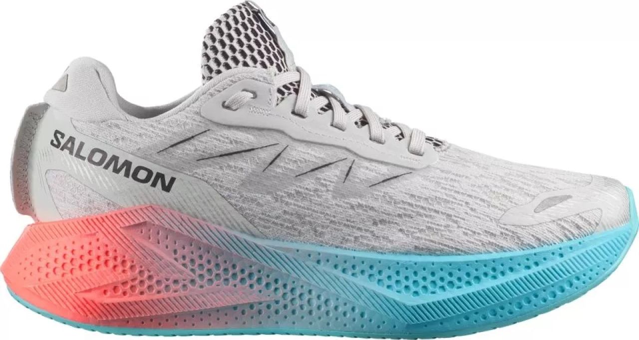 SALOMON AERO GLIDE 4 GRADIENT W Chaussures de running