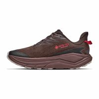 HOKA CHALLENGER ATR  8 GTX SPICED CHOCOLATE ET CAST IRON   Chaussures de Trail pas cher