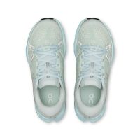 ON RUNNING CLOUDSURFER 2 SURF ET FLURRY Chaussures de running pas cher