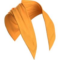 COMPRESSPORT STAYFRESH ICE BANDANA SUNFLOWER Bandana rafraichissant pas cher