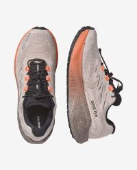 SALOMON AERO BLAZE 4 GRVL GTX RAINY DAY, BLACK ET NECTARINE  Chaussures de running pas cher