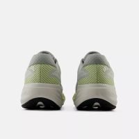 NEW BALANCE FRESH FOAM X 880 V15 FENNEL SEED ET BAYBERRY Chaussures de running pas cher